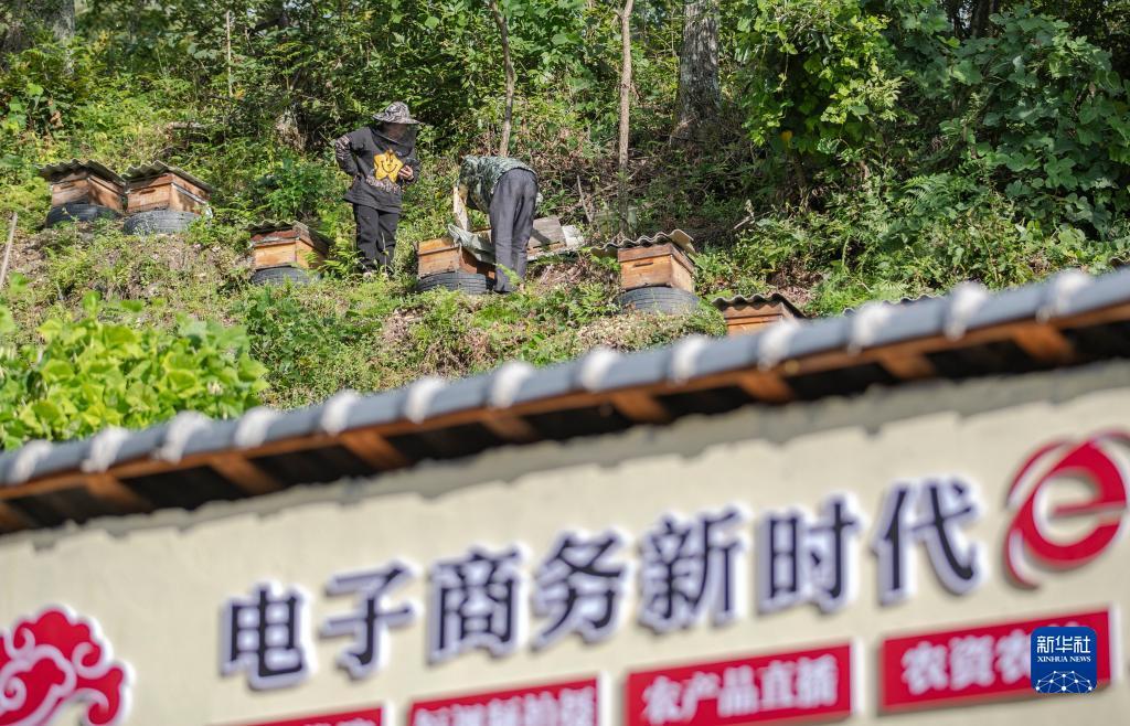 MG游戏怎么才能赢钱
